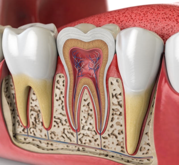 Animated smile showing healthy whole tooth not in need of dental crown restoration